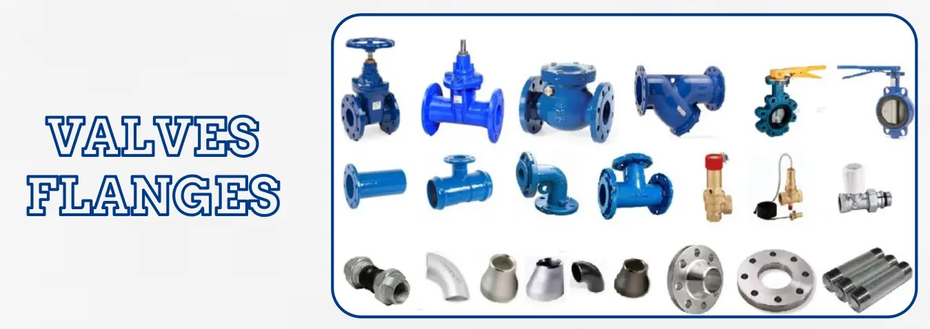 Valves & Flanges