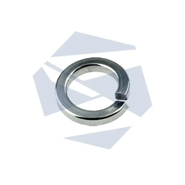 Spring Washer