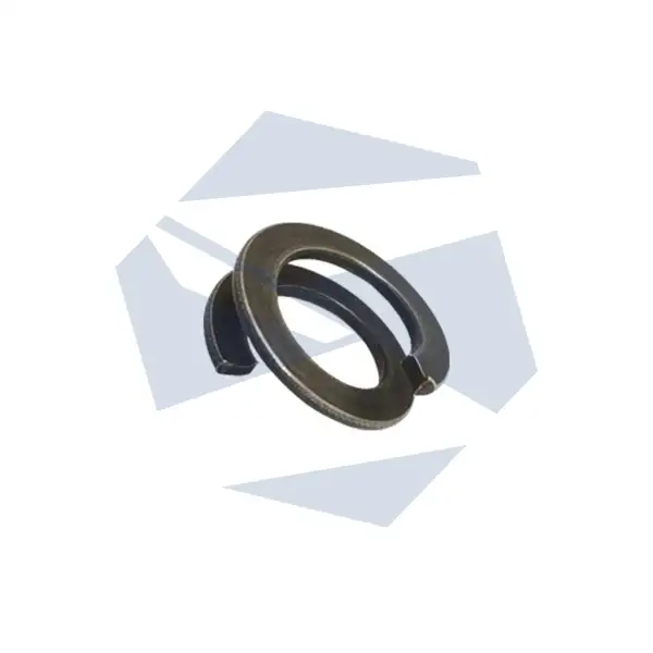 Spring Washer